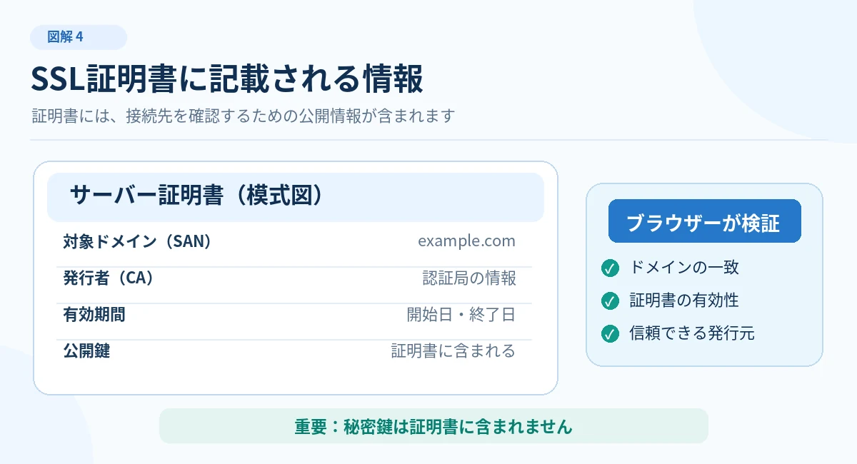 SSL証明書に記載される対象ドメインSAN、発行者CA、有効期間、公開鍵とブラウザーの確認事項