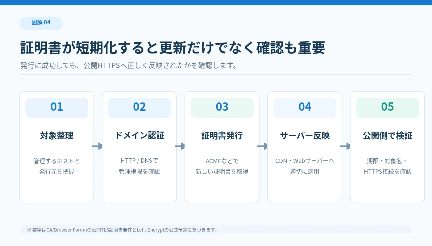 対象整理・ドメイン認証・証明書発行・サーバー反映・公開サイト検証の5工程
